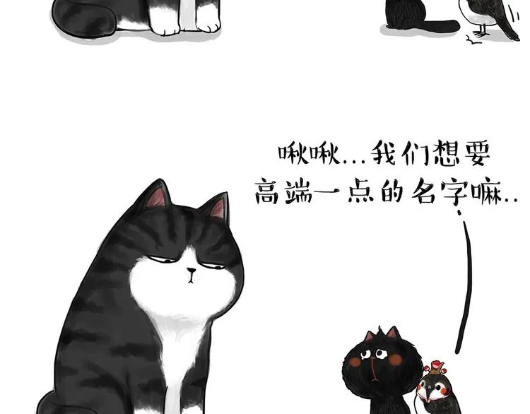 第53话 宠物的压力 第5页
