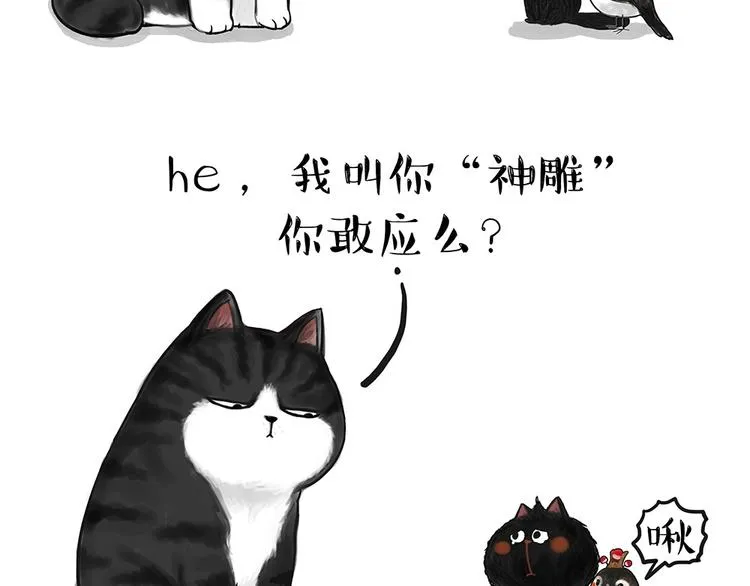 第53话 宠物的压力 第6页