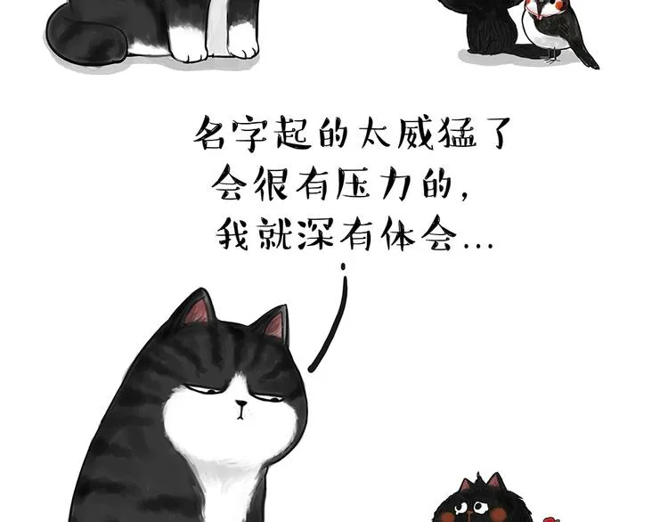 第53话 宠物的压力 第7页