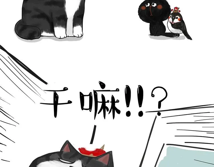 第53话 宠物的压力 第9页
