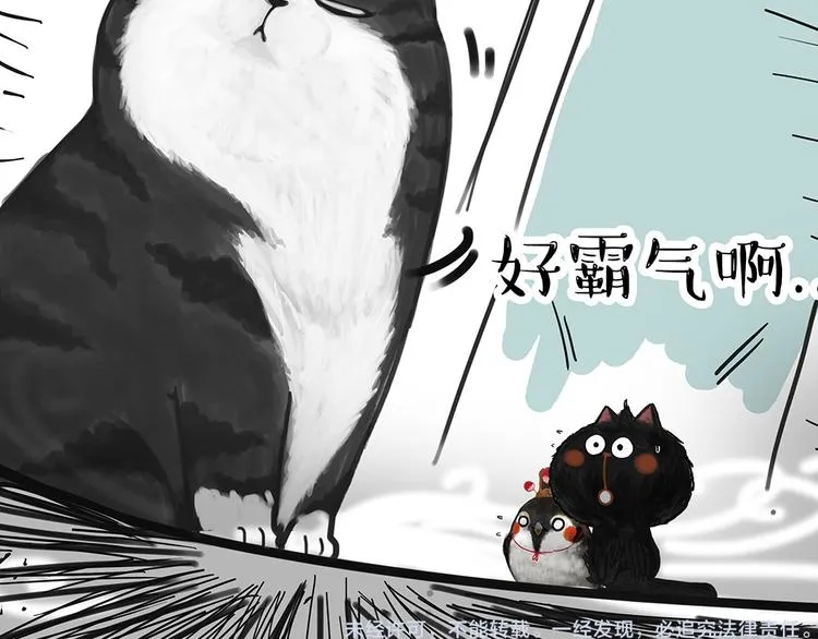 第53话 宠物的压力 第10页