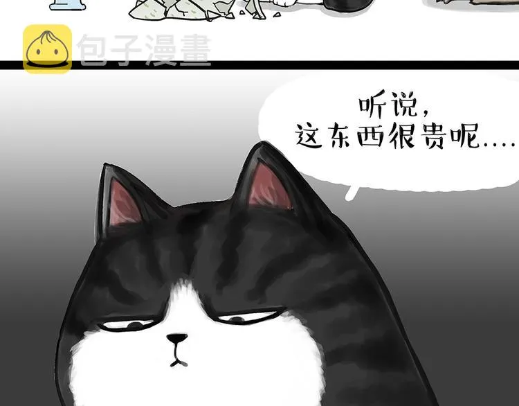 第54话 太受关注也不是好事 第14页