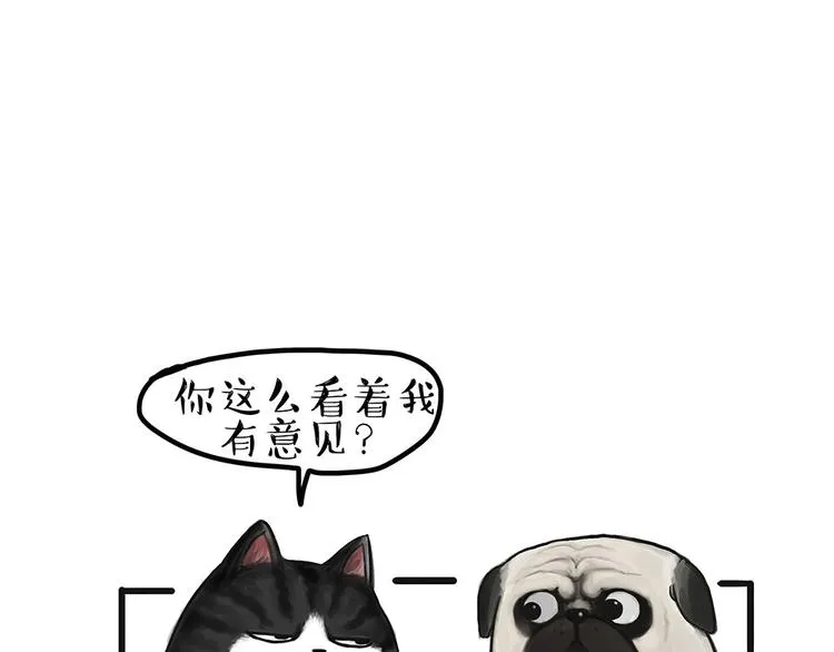 第54话 太受关注也不是好事 第28页