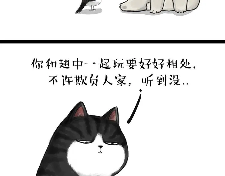 第57话 宠物太粘人是什么体验 第11页