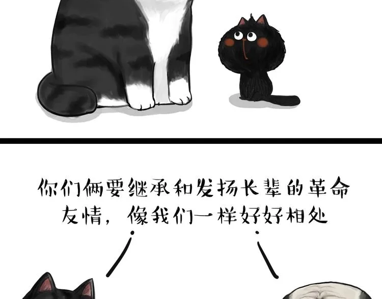 第57话 宠物太粘人是什么体验 第12页