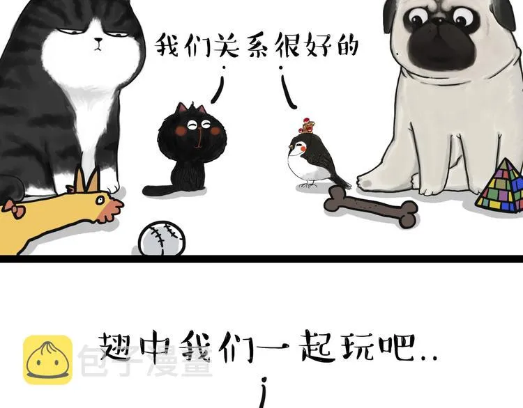 第57话 宠物太粘人是什么体验 第13页