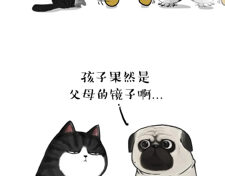 第57话 宠物太粘人是什么体验 第17页