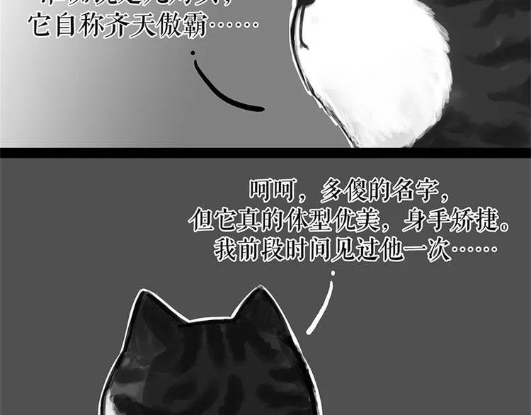 第58话 流浪生活 第5页