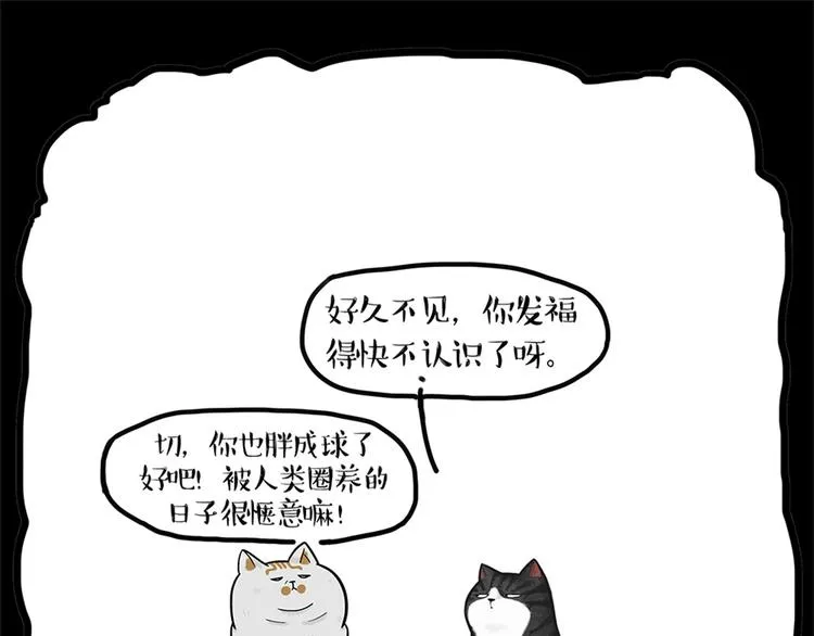 第58话 流浪生活 第9页