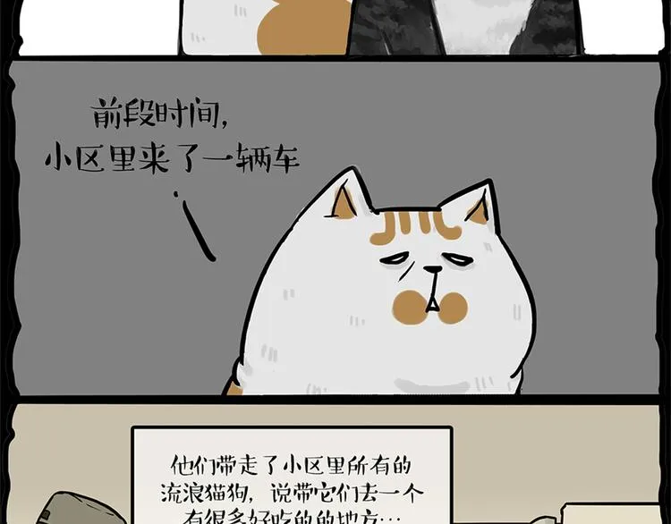 第58话 流浪生活 第12页