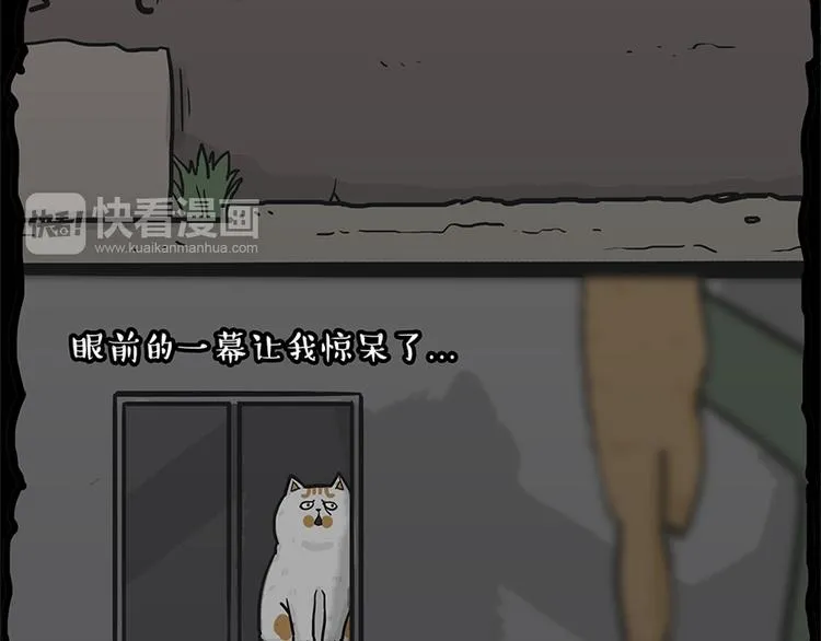 第58话 流浪生活 第35页