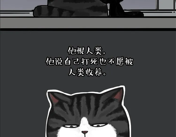 第58话 流浪生活 第39页