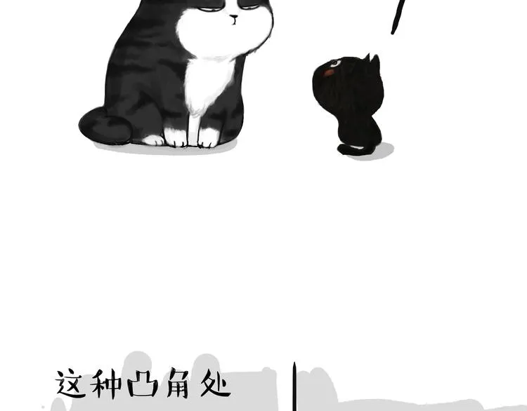 第66话 骨骼惊奇 第13页