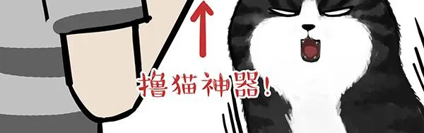 第71话 撸猫神器 第26页