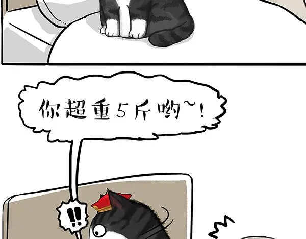第73话 你才是肥仔嘞 第16页