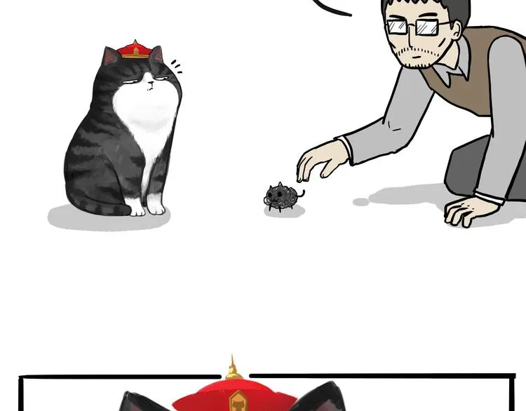 第74话 猫主子送的也敢扔 第5页