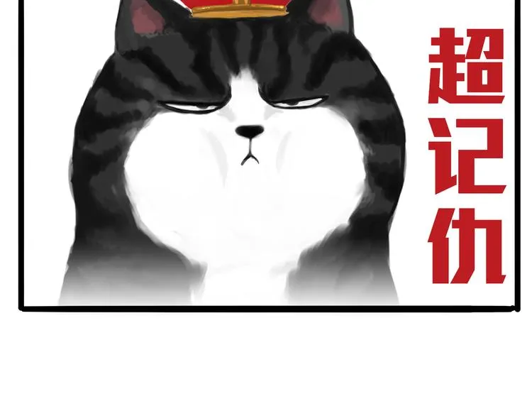 第74话 猫主子送的也敢扔 第6页