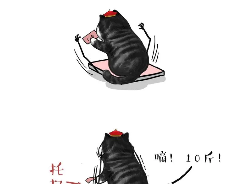 第74话 猫主子送的也敢扔 第11页