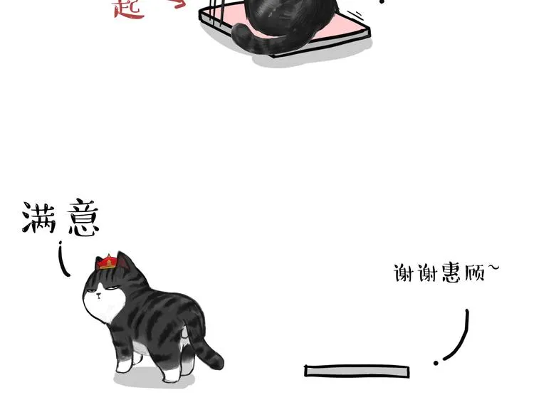 第74话 猫主子送的也敢扔 第12页
