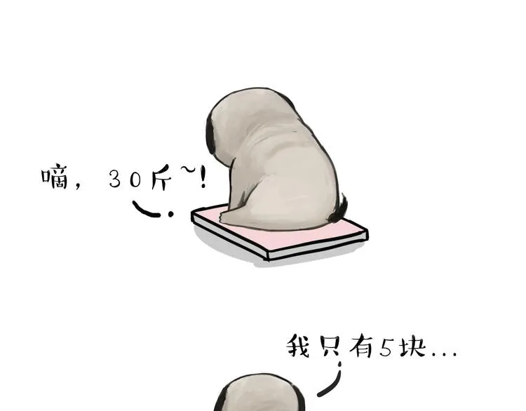 第74话 猫主子送的也敢扔 第13页