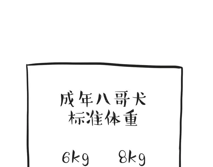 第74话 猫主子送的也敢扔 第18页