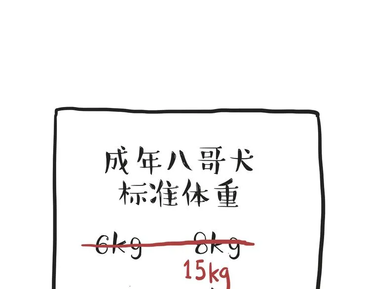 第74话 猫主子送的也敢扔 第22页