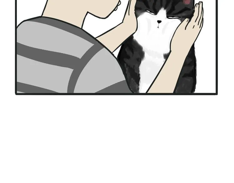 第75话 猫奴被嫌弃了 第2页
