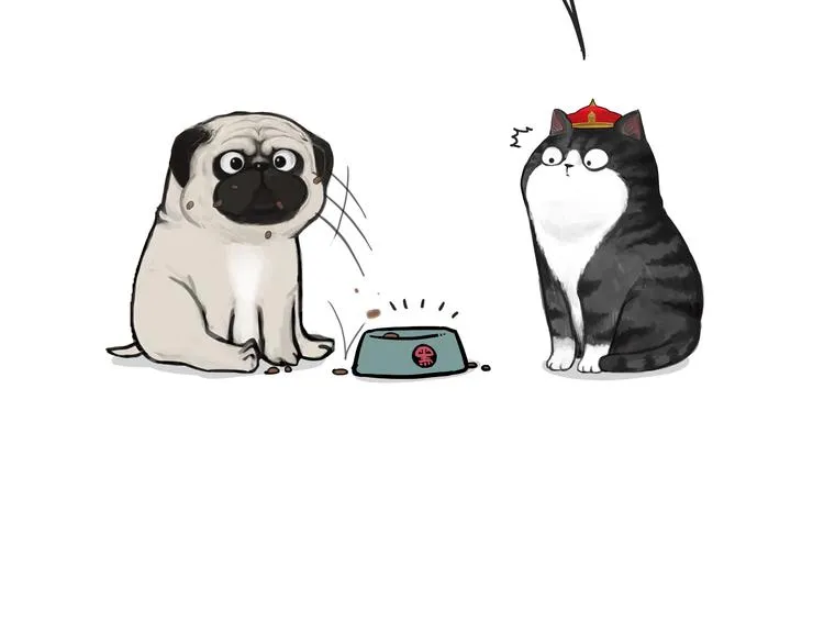 第77话 巴扎黑减肥 第7页