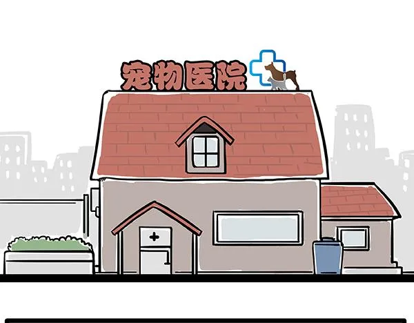第78话 带宠物看病（上） 第1页
