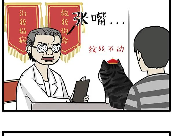 第78话 带宠物看病（上） 第2页