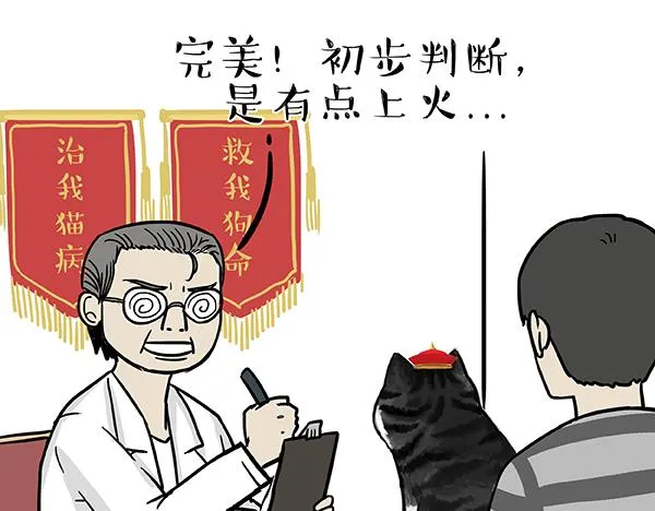 第78话 带宠物看病（上） 第6页