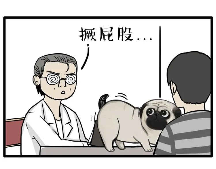 第78话 带宠物看病（上） 第12页