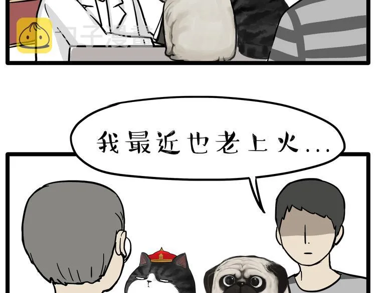 第79话 带宠物看病（下） 第10页