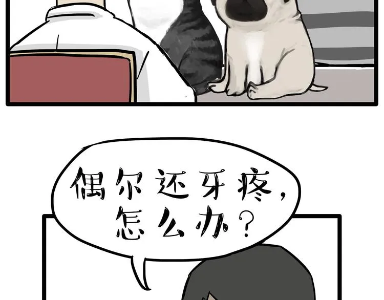 第79话 带宠物看病（下） 第11页