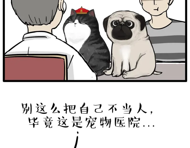 第79话 带宠物看病（下） 第13页