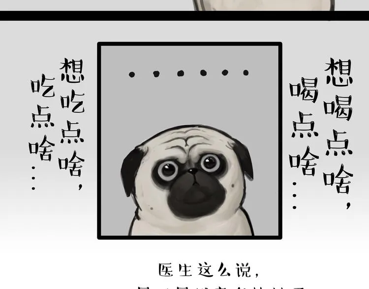 第79话 带宠物看病（下） 第19页