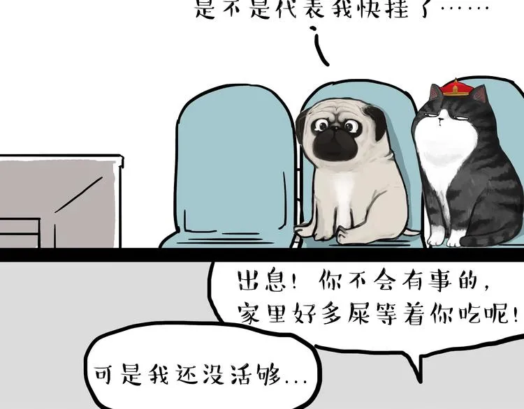 第79话 带宠物看病（下） 第20页