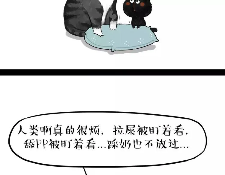 第95话 一辈子在一起 第14页