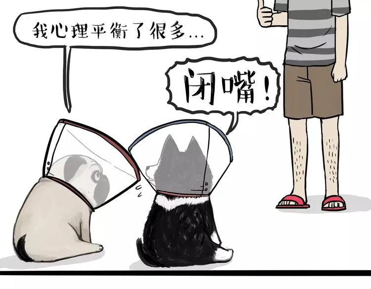 第104话 来人救驾 第17页