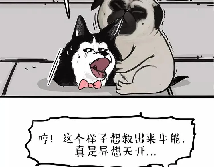 第105话 劲往一处使 第13页