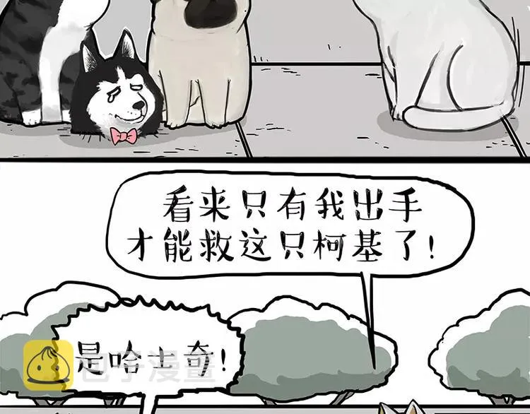 第105话 劲往一处使 第20页