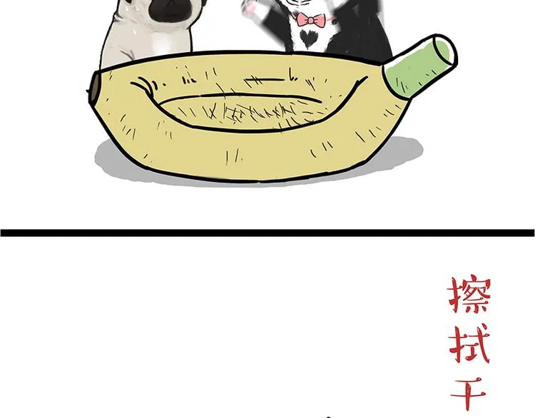 第110话 谁说了算 第43页
