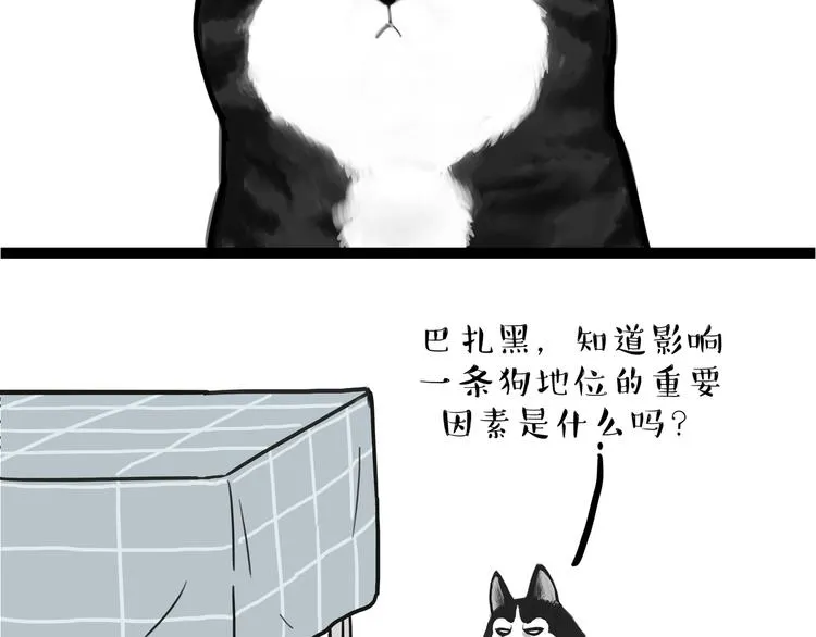 第110话 谁说了算 第50页