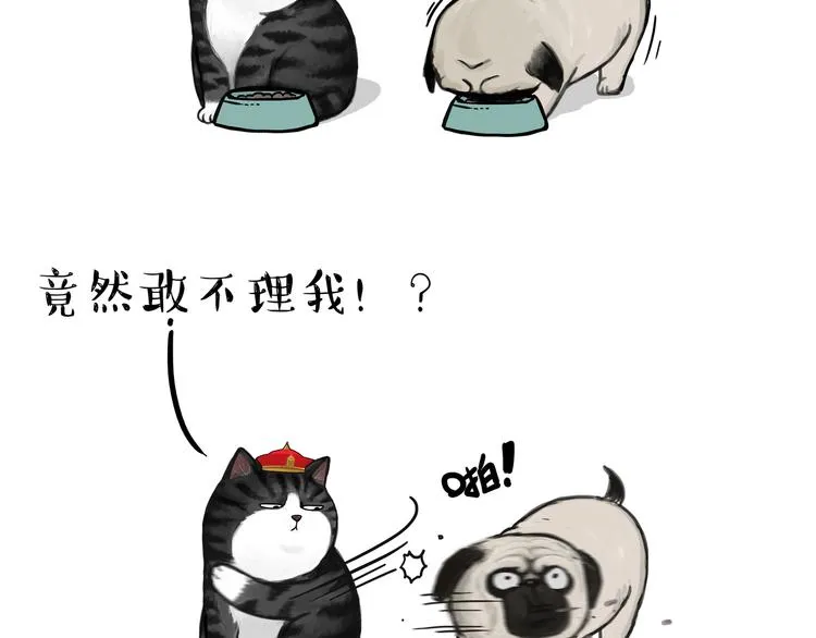 第114话 一只狗 第19页