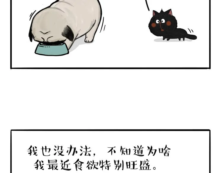 第114话 一只狗 第24页