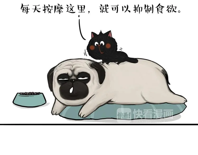 第114话 一只狗 第26页