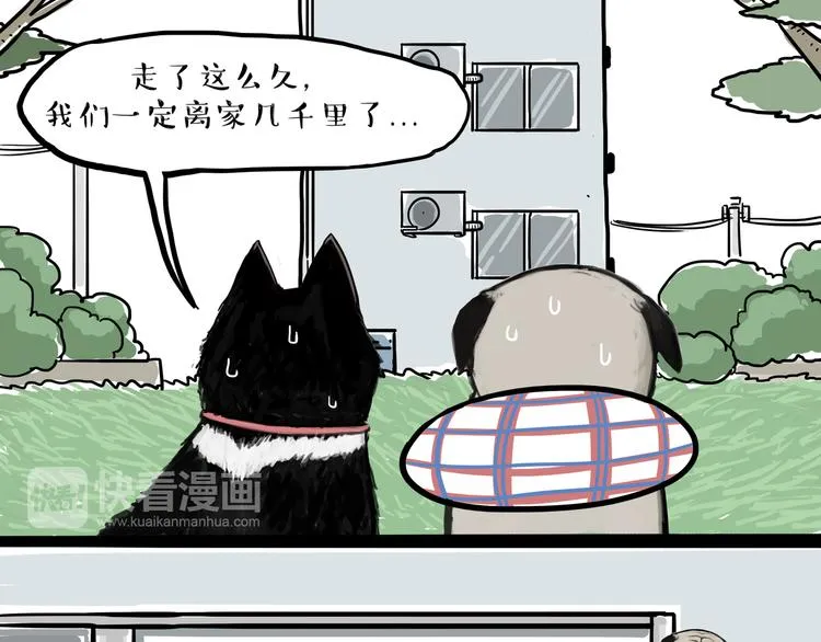 第116话 离家出走 第19页