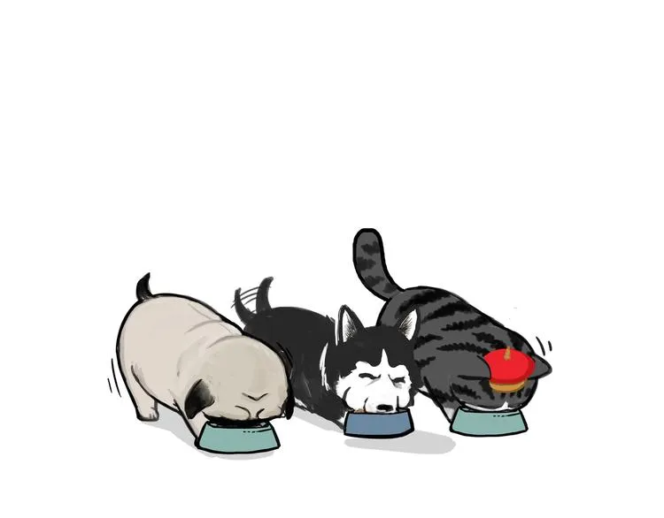 第116话 离家出走 第43页