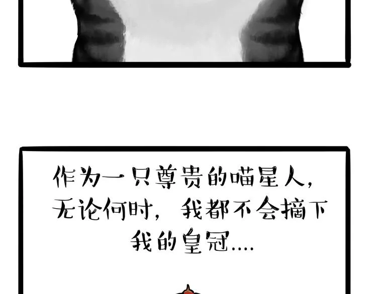第124话 一只尊贵的喵 第2页