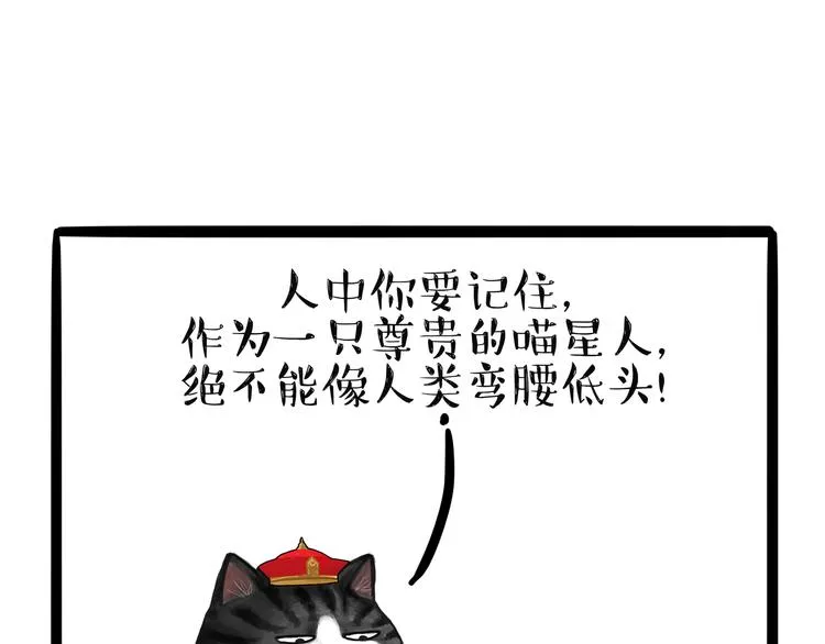 第124话 一只尊贵的喵 第8页